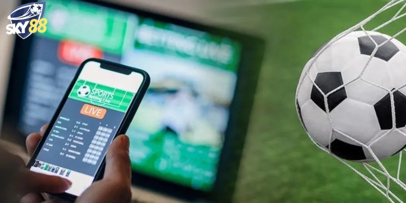 Nâng cao tỷ lệ thắng khi nắm vững mẹo sau.